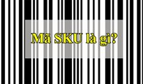 Sku là gì? Mã sku trên sản phẩm có ý nghĩa gì?