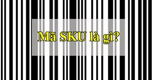 Sku là gì? Mã sku trên sản phẩm có ý nghĩa gì?