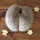 Coco de Mer, loại dừa lớn và đắt nhất thế giới