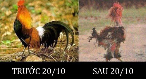 Ngoài lo lắng về "hầu bao" của mình thì các anh em cũng đừng quên "bảo vệ" bản thân nhé.