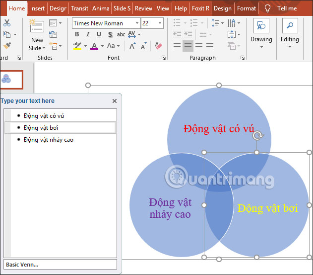 Những cách cắt ảnh thành hình tròn trong PowerPoint đơn giản