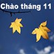 Câu nói hay nhất về tháng 11, chào tháng 11