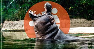Ubuntu 21.04 Hirsute Hippo chính thức phát hành cho desktop, server và Raspberry Pi
