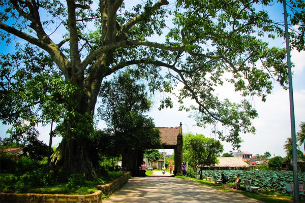 Làng cổ Đường Lâm