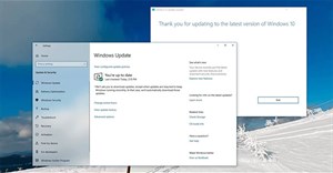 Microsoft bắt đầu buộc nâng cấp từ phiên bản Windows 10 1903 lên Windows 10 1909