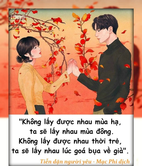 Thả thính bằng ngôn tình 