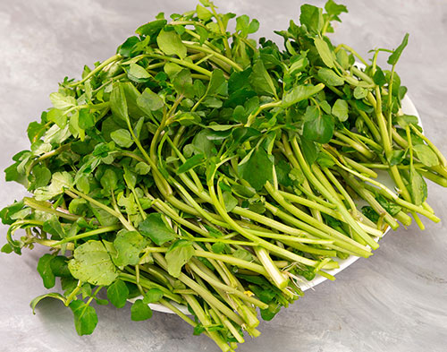 Watercress