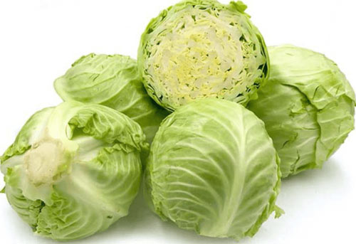 Cabbage