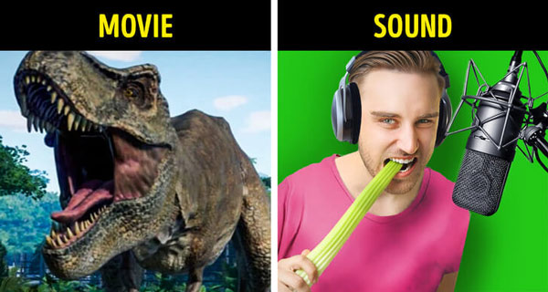 Âm thanh của tiếng gãy rắc rắc – sử dụng cần tây