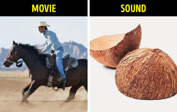 Tiếng ngựa phi – sọ dừa