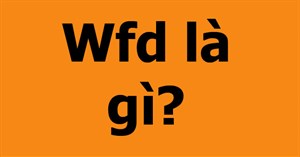 Fwd là gì? Fwd là viết tắt của từ gì?