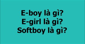 Eboy là gì? Soft boy nghĩa là gì? Egirl là gì?