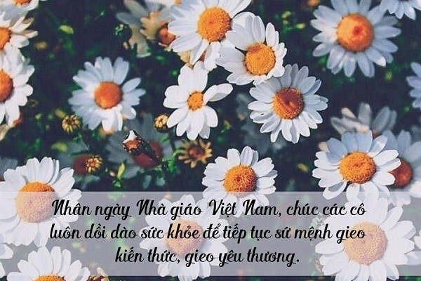 Lời Chúc 2011 Cho Cô Giáo Mầm Non 3293