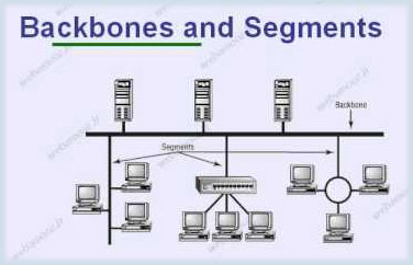 Backbone và segment là những khái niệm quan trọng trong thiết kế mạng