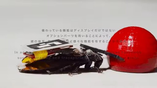 Gián cyborg, ước mơ về một quân đoàn gián của người Nhật Bản