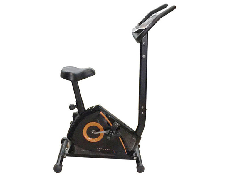 Xe đạp cố định Royal 581C