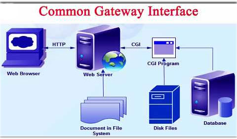 Common Gateway Interface (CGI) cung cấp phần mềm trung gian giữa các máy chủ WWW với cơ sở dữ liệu và nguồn thông tin bên ngoài.