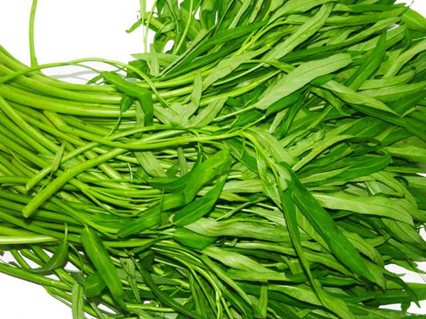 Rau muống 