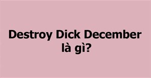 DDD là gì? Destroy Dick December là gì?