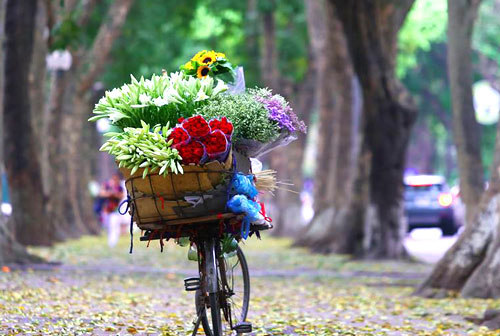 Xe bán hoa rong trên đường phố Hà Nội