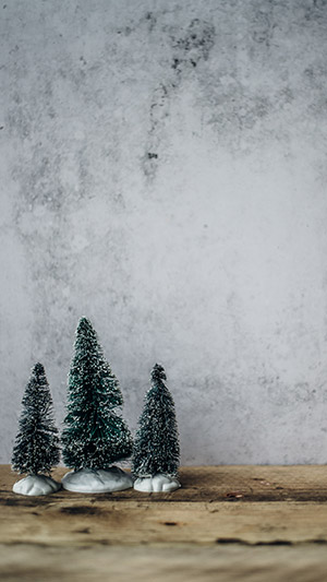 hình nền noel