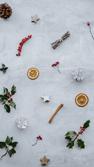 hình nền noel