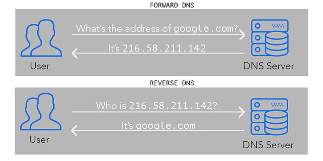 Forward DNS ánh xạ hostname tới địa chỉ IP, còn rDNS ánh xạ địa chỉ IP của máy chủ trở lại hostname