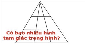 Có bao nhiêu hình tam giác trong bức hình, bài toán cho học sinh lớp 1 nhưng 90% người lớn trả lời sai