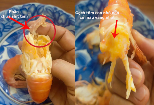 Phân biệt gạch tôm và phân tôm.