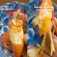 Ăn tôm nhiều nhưng các bạn đã phân biệt được gạch tôm với phân tôm chưa?