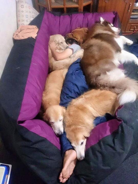 Bõ công phục vụ “boss” bao ngày, “sen” chỉ chờ đến ngày đông lạnh giá để được đáp lại thế này thôi.