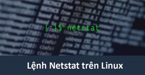 10 ví dụ về lệnh Netstat trên Linux