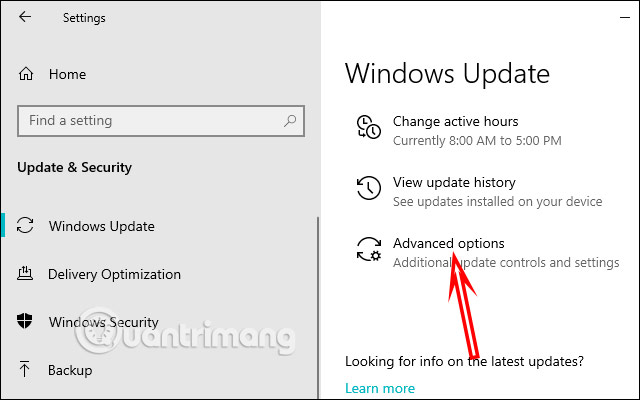 Cách cập nhật Microsoft Edge khi bật Metered Connection Windows 10