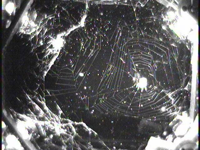 mạng nhện trên không gian