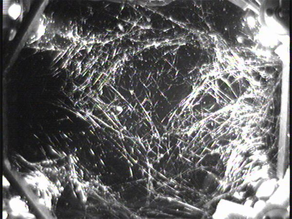 lưới nhện trên không gian