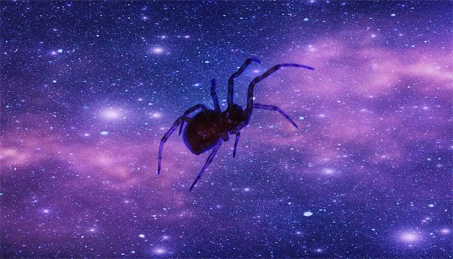 mạng nhện không gian