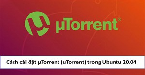 Cách cài đặt µTorrent (uTorrent) trong Ubuntu 20.04