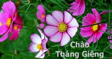 Câu nói hay về tháng 1, stt về tháng 1