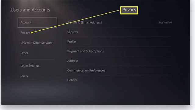 Chọn Privacy