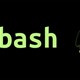 Bash trong Linux là gì? Có thể sử dụng để làm gì?