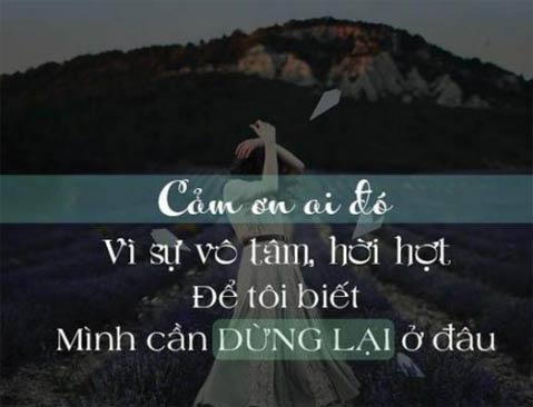 Tình yêu giả dối 