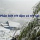 Rét đậm, rét hại là gì? Kiểu rét nào 'đáng sợ' hơn?