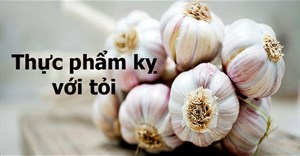 Tỏi kỵ với gì? 4 loại thực phẩm không nên kết hợp với tỏi ai cũng cần biết để tránh