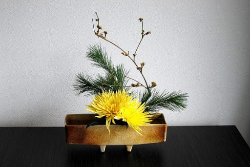 Cắm hoa cúc theo nghệ thuật Ikebana