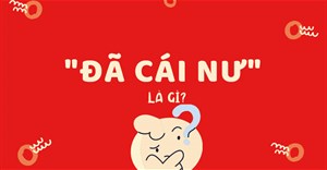 ‘Đã cái nư’ là gì?