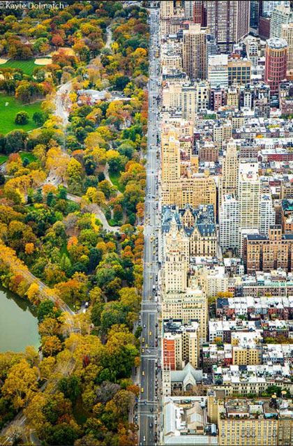 Bức ảnh chụp hai nửa đối lập của thành phố New York từ trên cao của nhiếp ảnh gia Kayte Dolmatch.