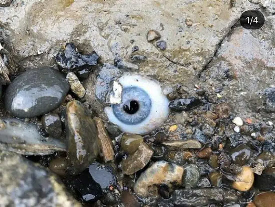 Ai đó đã gắn một đôi mắt thủy tinh vào hòn đá bên bờ biển! Đang đi dạo trên bờ biển mà nhìn thấy nó chắc nhiều người xỉu tại chỗ quá.