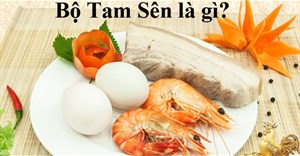 Bộ tam sên là gì? Bộ Tam Sên cúng khai trương gồm những gì