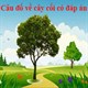 30 Câu đố về cây cối cho trẻ