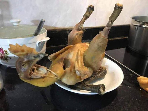 Chú gà nói “Em chỉ là khoe dáng nằm quyến rũ thôi mà”.